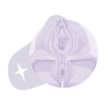 Image of a purple pelvic floor icon.